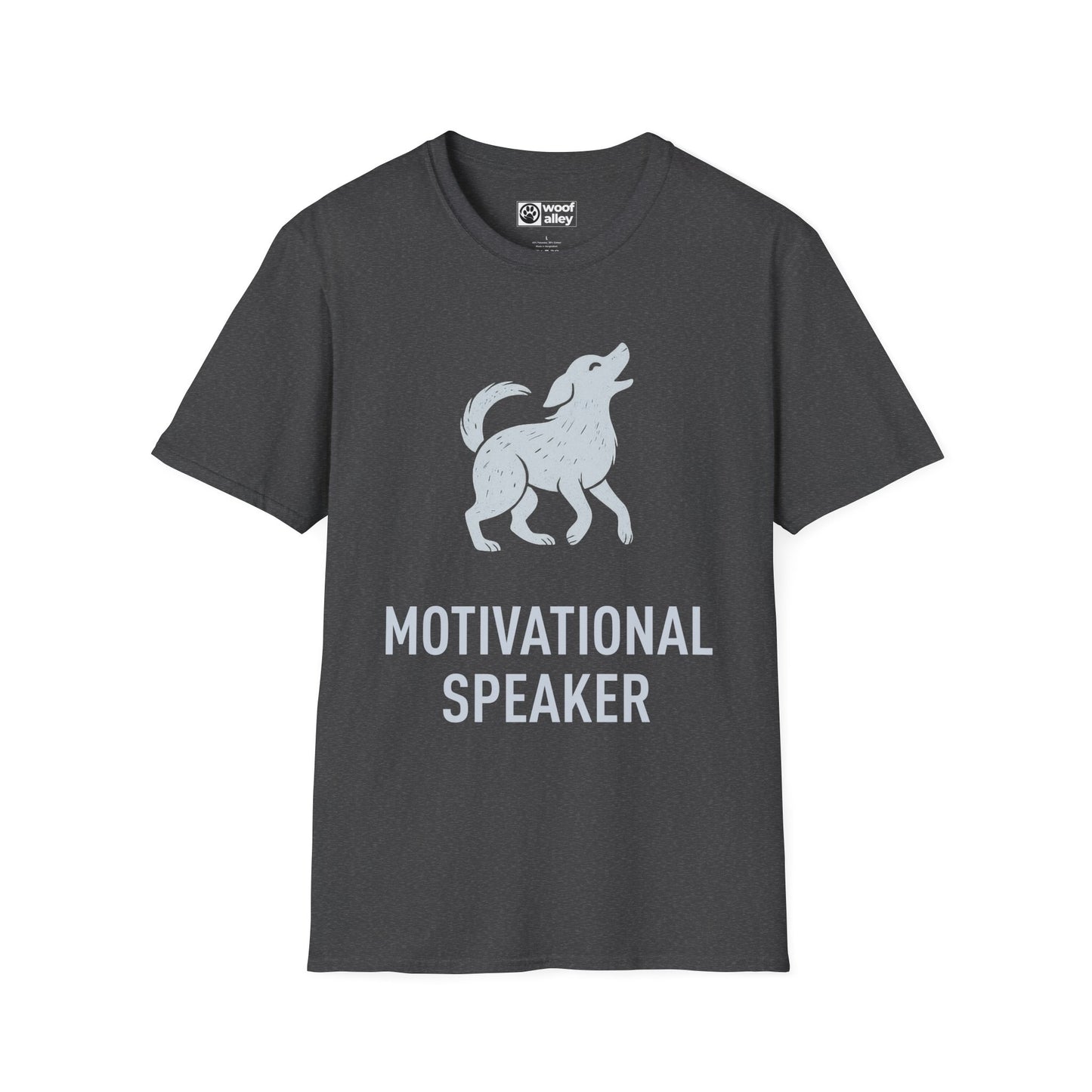 Motivational Speaker - Professions Collection